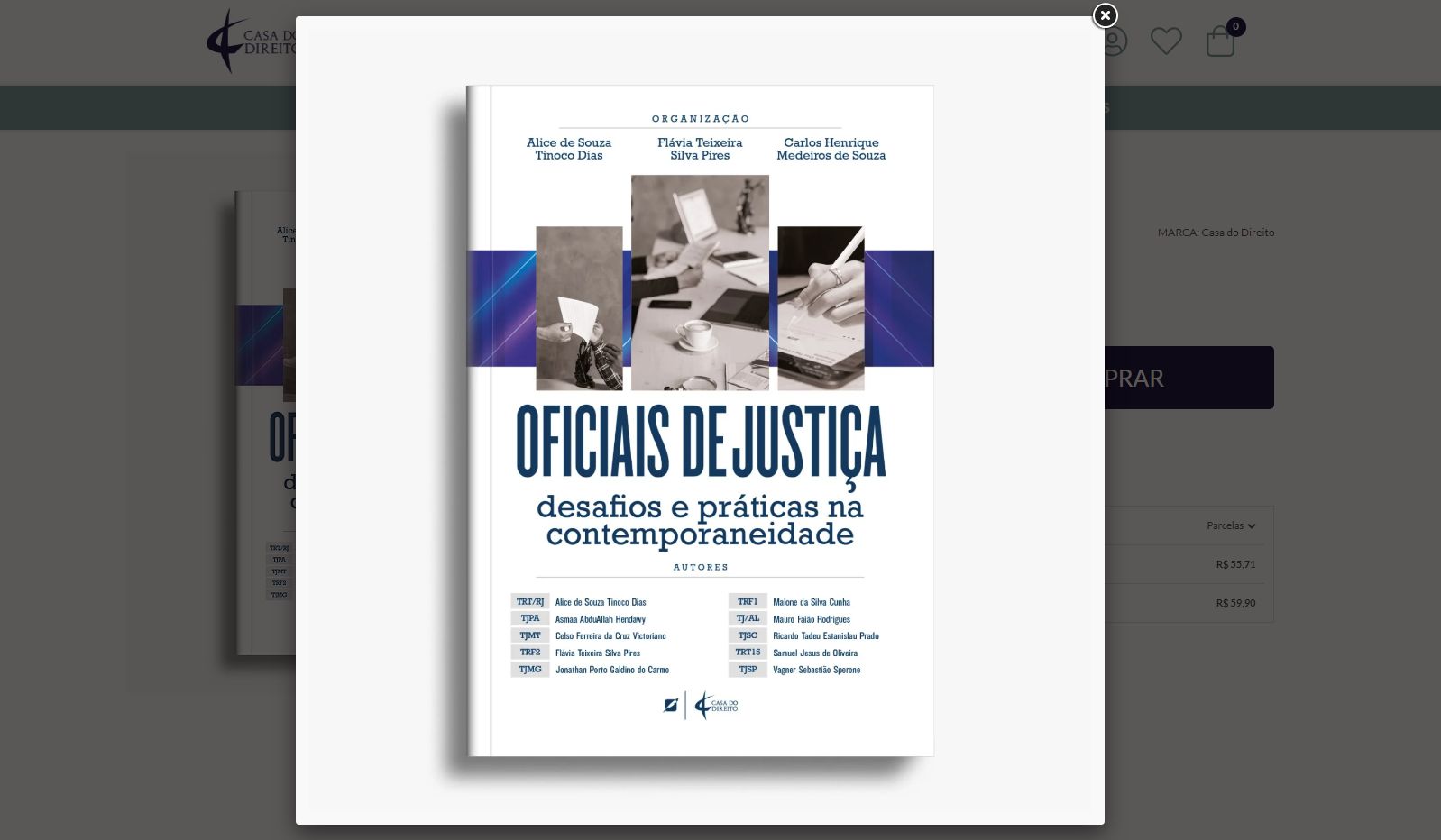 LANÇAMENTO DO E-BOOK “OFICIAIS DE JUSTIÇA: DESAFIOS E PRÁTICAS NA  CONTEMPORANEIDADE” 